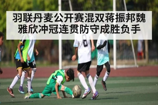 羽联丹麦公开赛混双蒋振邦魏雅欣冲冠连贯防守成胜负手